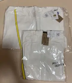 インセクトコレクションTシャツ、長袖シャツ
