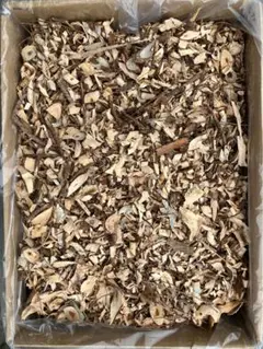 Item thumbnail for item edd37001-b27c-49e7-b6a6-9a2edb2c4fa7