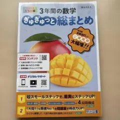 ■2025年度【ぎゅぎゅっと総まとめ】◉定期対策や高校入試にどうぞ！◉本日新発売