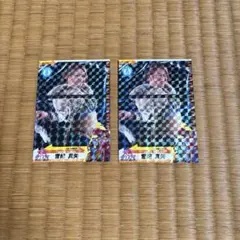 雪妃真矢　プロレスカード2枚セット