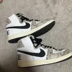 Item thumbnail for item 27715530-4227-4608-8ff2-e4fc0d1aac82