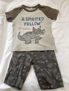 恐竜プリント Tシャツとパンツセット