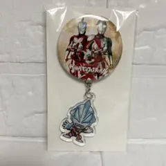 ウルトラマンフェスティバル 缶バッジ アクリルチャーム ウルトラマンジード
