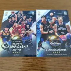 Bリーグチャンピオンシップオンラインくじ　D賞　カード型ステッカー　2種セット
