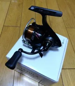 ダイワ タトゥーラ LT2000S-XH