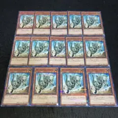 遊戯王 No.4470 パラレル入り フォッシルダイナパキケファロ 14枚