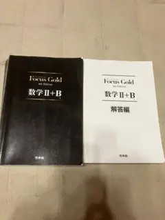 focus gold II＋B