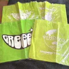 【即購入⭕️】GReeeeN gre4nboyz 不織布バッグ　ショッパー