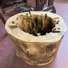切株 くりぬき