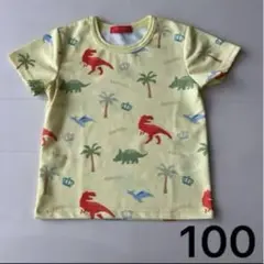 ベビードール　速乾軽量総柄半袖Tシャツ　100