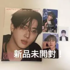 Stray Kids チャンビン　accodion ver