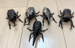 ゼンマイ式カブトムシバトル開始Σ੧(❛□❛✿)