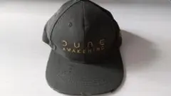 Item thumbnail for item 4dfca5c0-9c52-4d45-b098-7ced8039cf80