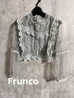 Fruncoフランコ　総レース　ブラウス　長袖　フリーサイズ　ゴージャス　シアー