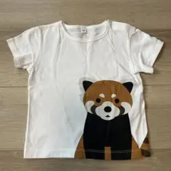 レッサーパンダTシャツ サイズ90
