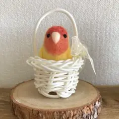 羊毛フェルト　籠に入ったコザクラインコ