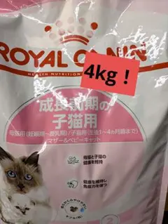 Item thumbnail for item c1ff0774-83c2-4d94-948a-6bb5a58154b0