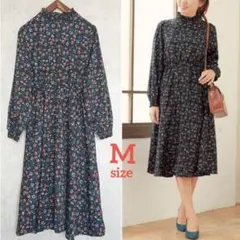 Item thumbnail for item 93b4b60a-3859-4633-bdfd-585add31eada