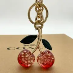 【新品未使用】コーチ シグネチャー チェリー バッグ チャーム キーホルダー