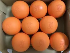 Item thumbnail for item d72f3531-54c1-428f-a664-a053728d9481
