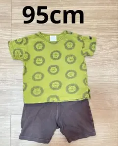 ライオン柄Tシャツとショートパンツセット95cm