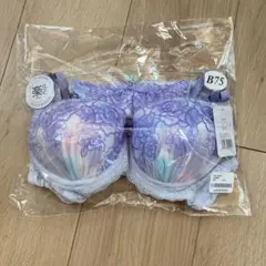 ラベンダー色 ブラジャーショーツセット B75