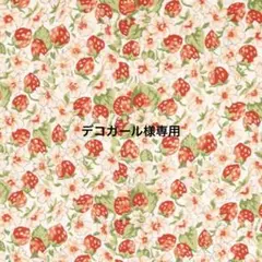 ハンドメイドポーチ　メガネケース　　　　　　　　　　ペンケース　ユキエモン