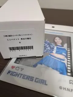 ファイターズガール推しくじA賞　BIGフィルムポスター　塩澤美咲 ファイターズガール推しくじA賞 BIGフィルムポスター 塩澤美咲
