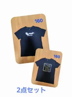 Item thumbnail for item c449c1ac-0f72-40b3-8ccd-09702ab8e83e