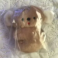 にこやまポッケ　おすわりコアラのぬいぐるみ　ガチャガチャ