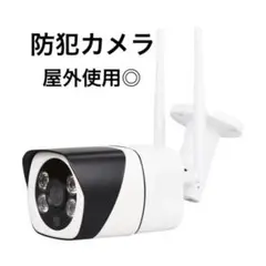 IP防犯カメラ 400万画素 夜間フルカラー防犯カメラ 防犯灯付き 人感センサー