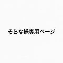 専用ページ