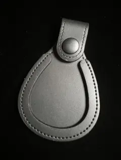 Item thumbnail for item 8d376efb-0377-4faa-b4fe-57c5c91d36c9