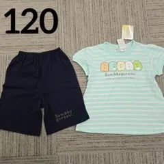 すみっコぐらし 半袖パジャマ 上下セット 120
