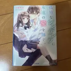 孤独なシンデレラに永遠の愛を捧ぐ。