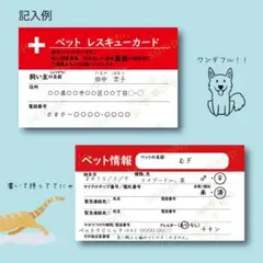 【新品未使用】マイクロブタハーネス(バナナ柄)Lサイズ 2025年最新】マイクロブタ ハーネスの人気アイテム - メルカリ