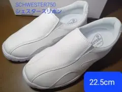 Item thumbnail for item 83fc6796-8abe-4886-8ec1-67a0ec59a258