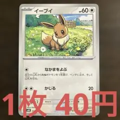 残13枚) イーブイ　なかまをよぶ