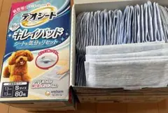 Item thumbnail for item e74daf96-b9e1-4985-ade1-1b6745201064