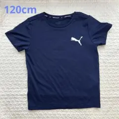 PUMA ポリエステル　キッズTシャツ
