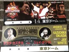 新日本プロレス1.4東京ドーム大会でもらったデザインチラシです。