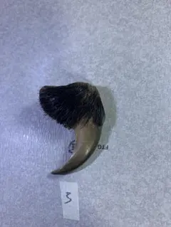 熊の爪】ヒグマの爪　天然物 です.(3)