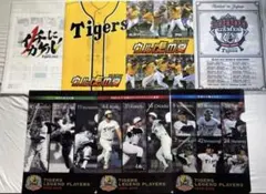 阪神タイガース　クリアファイル　7枚セット　バース　掛布　岡田　レジェンド