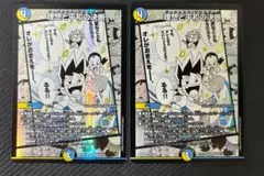 パーフェクトアルカディア　理想と平和の決断　2枚セット