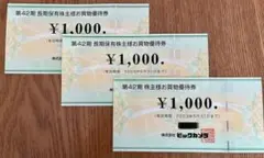 ビックカメラ株主優待券3000円分