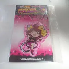 未開封 星空みゆき アクリルキーホルダー カワいろパレット