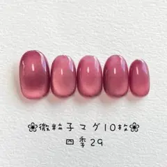 【即購入ok・チップ変更可能】マグネットネイルチップ　ニュアンス　四季29