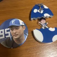 日本ハム 柳川大晟 キーホルダー シークレットセット