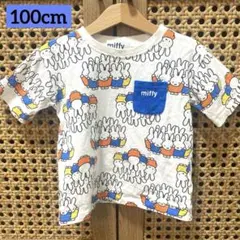 Item thumbnail for item ff53a101-00e4-4309-a626-6cefcc95b6ee