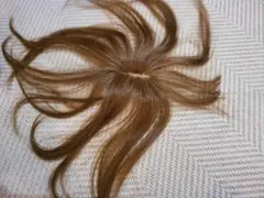 Item thumbnail for item 6637369b-3262-4166-bcdc-5f326e47f135